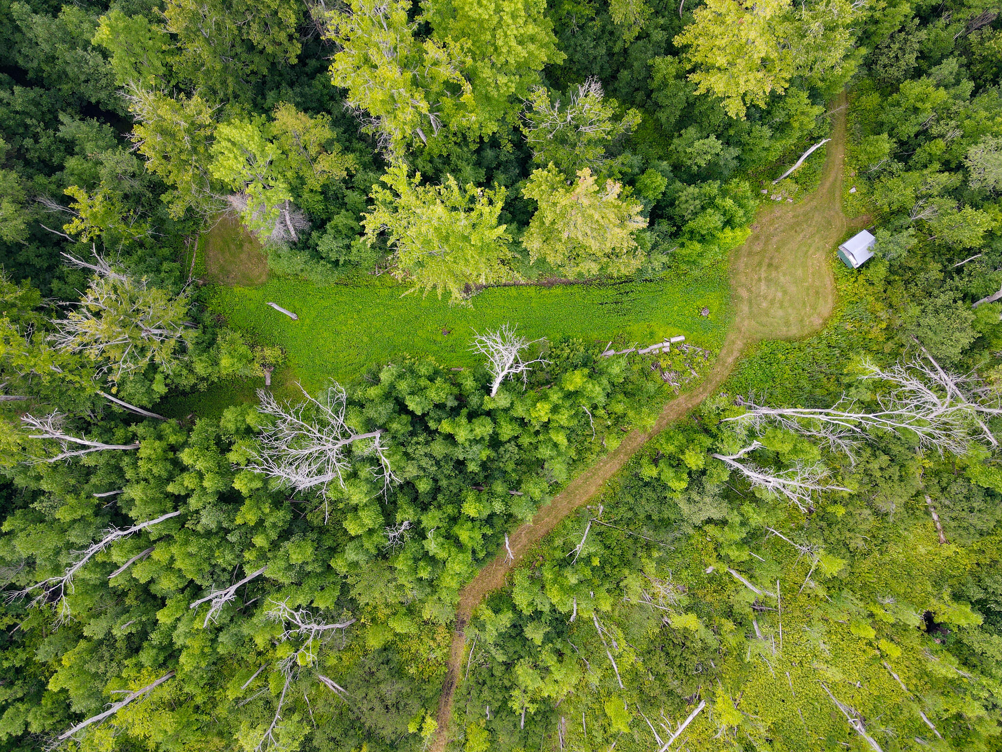 0 North Merritt Road Merritt, MI 49667 - Photo 47 of 54 DJI_0984