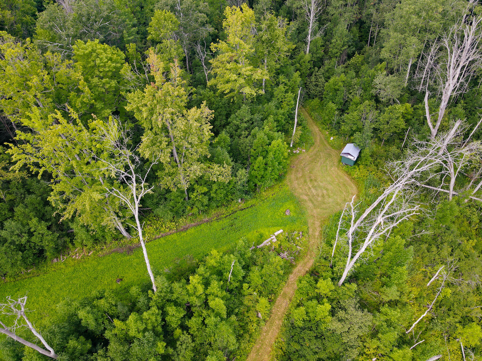 0 North Merritt Road Merritt, MI 49667 - Photo 48 of 54 DJI_0983