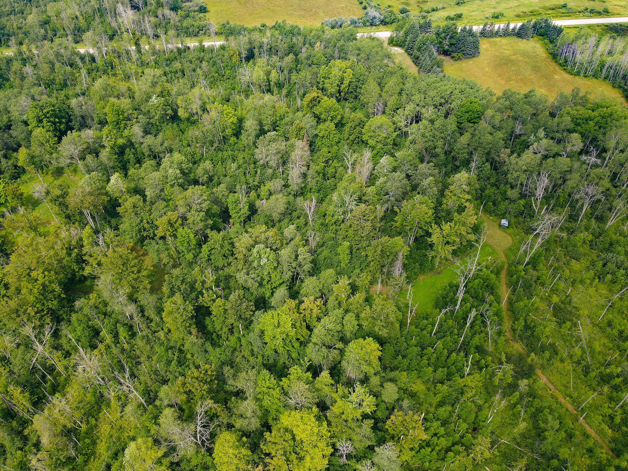 0 North Merritt Road Merritt, MI 49667 - Photo 49 of 54 DJI_0979