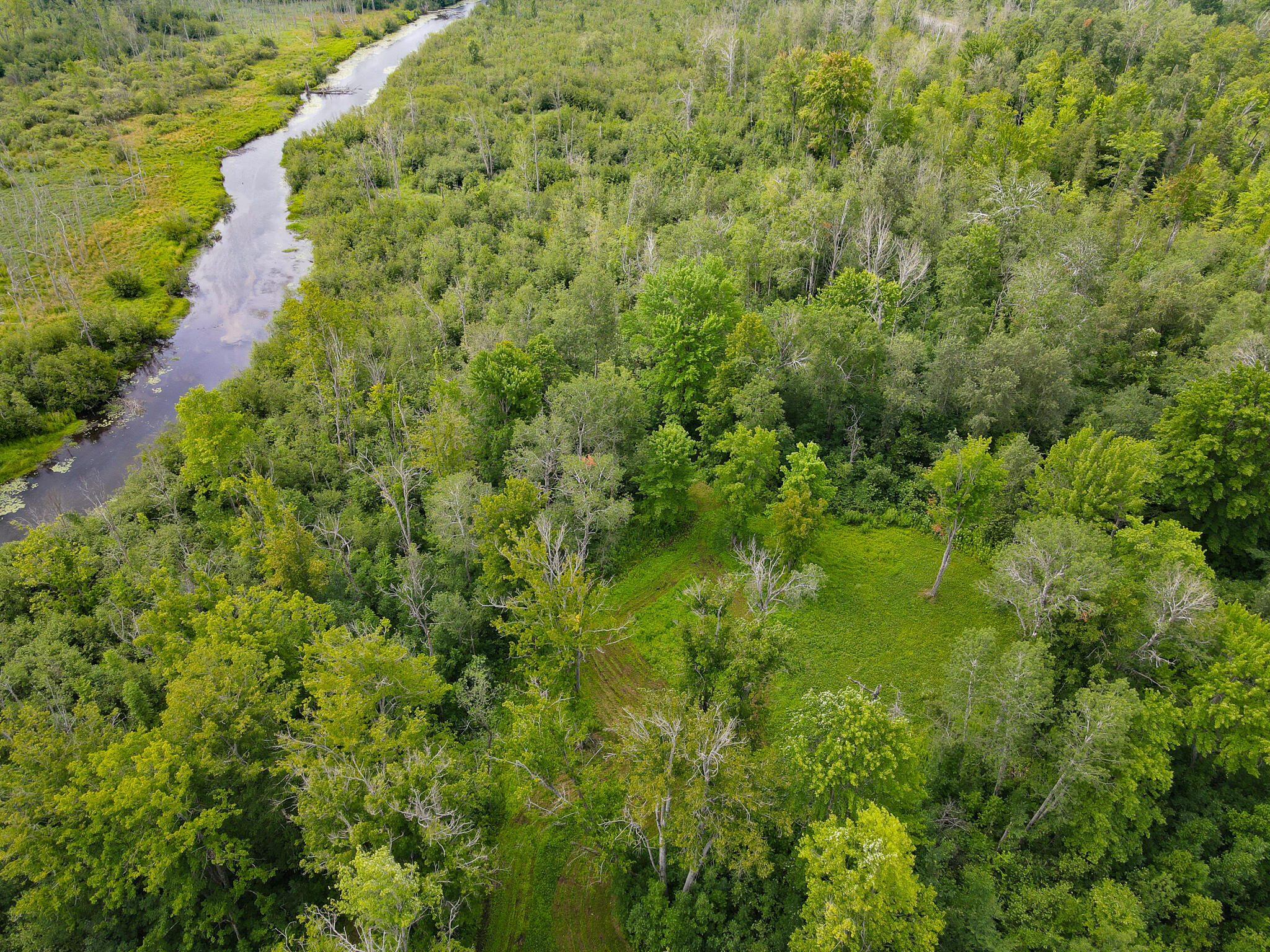 0 North Merritt Road Merritt, MI 49667 - Photo 50 of 54 DJI_0978