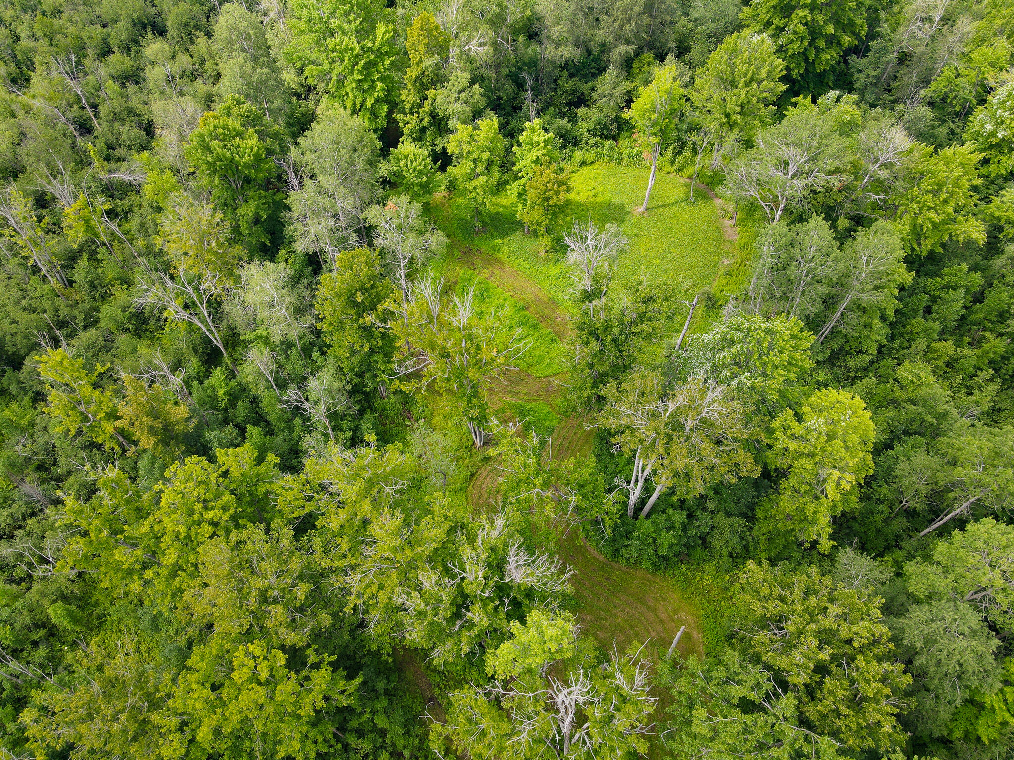 0 North Merritt Road Merritt, MI 49667 - Photo 52 of 54 DJI_0976