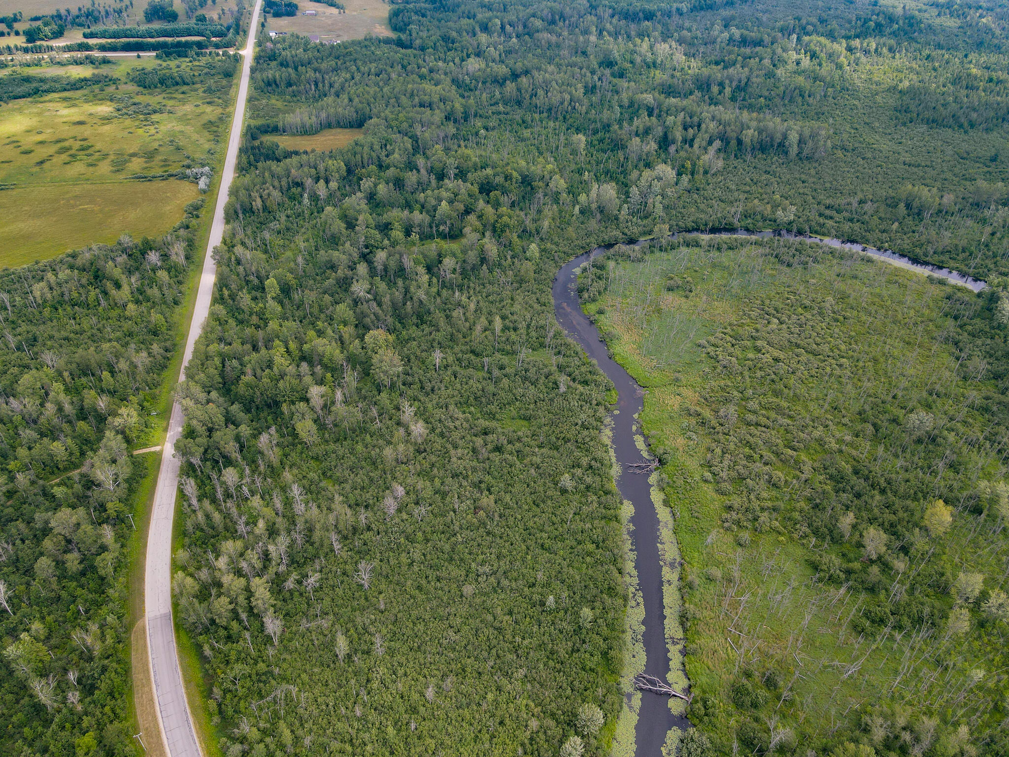 0 North Merritt Road Merritt, MI 49667 - Photo 53 of 54 DJI_0972