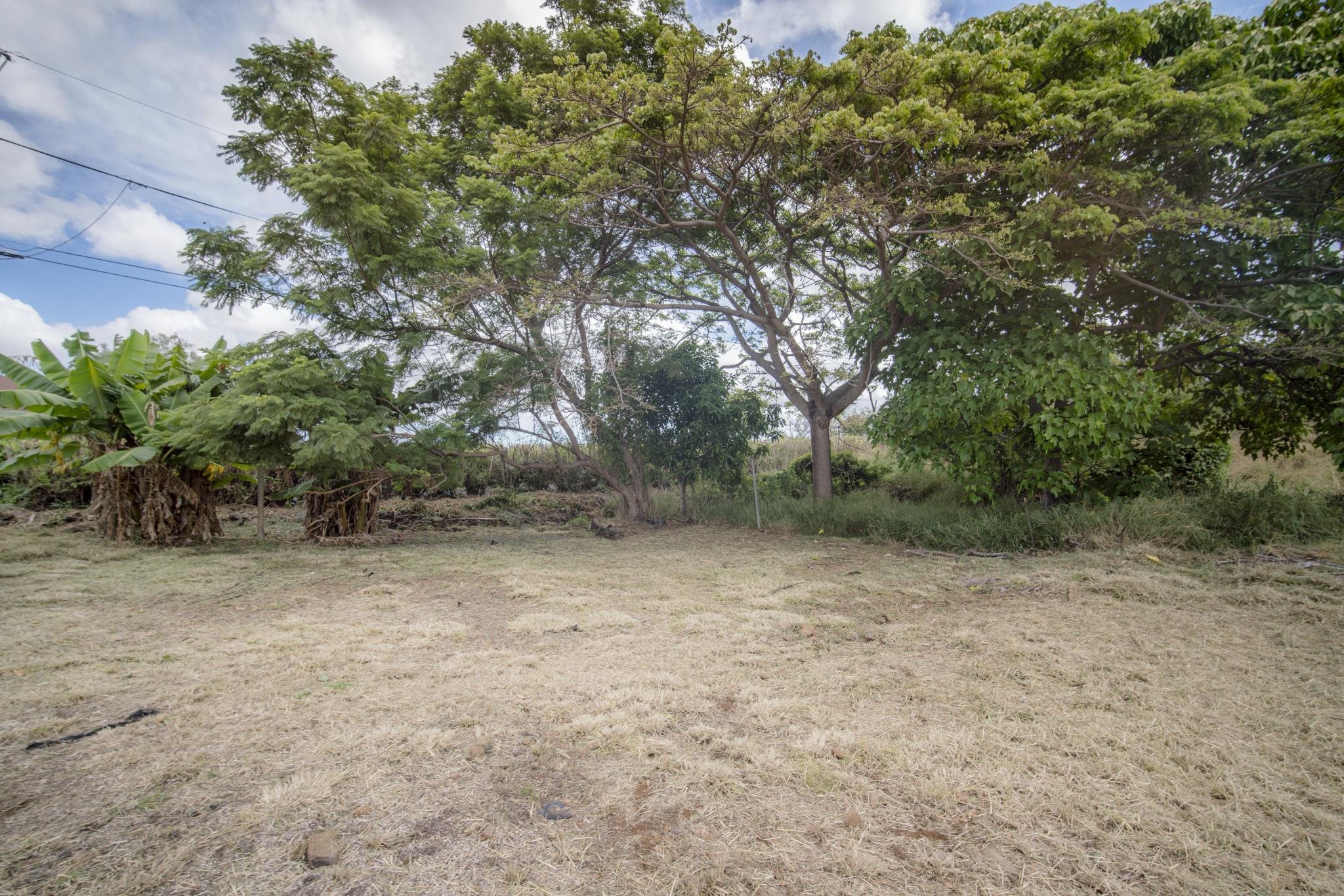 1298 Naalae Road, Unit B Kula, HI 96790 - Photo 6 of 33