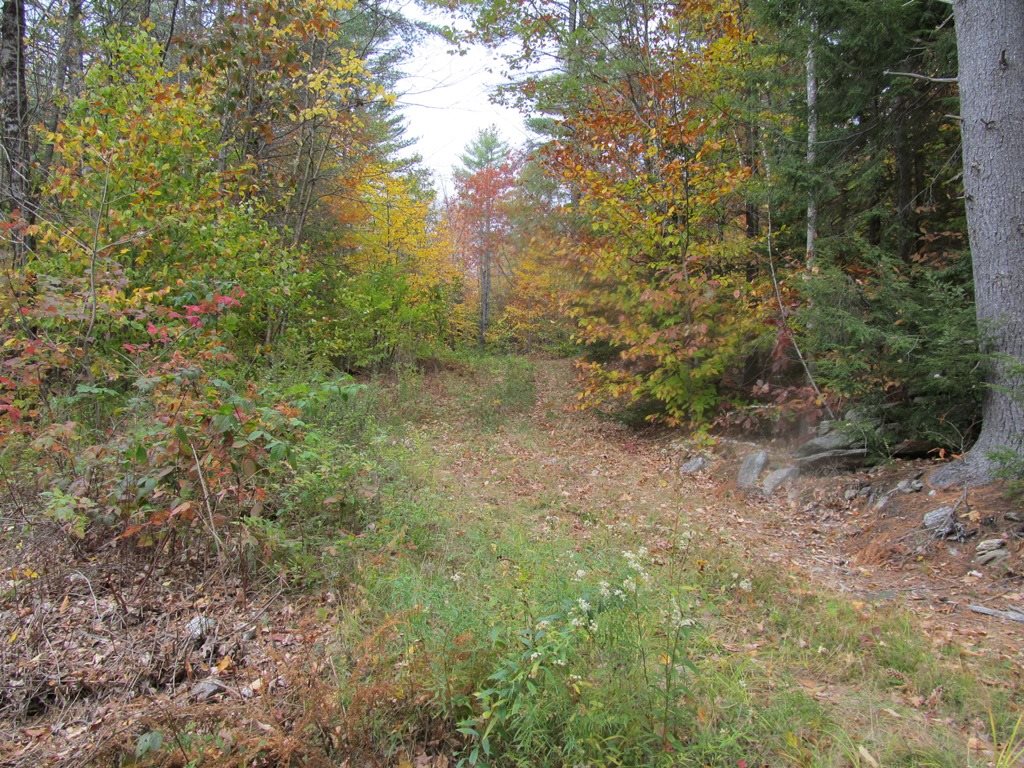 439 Dodge Hollow Road Lempster, NH 03605 - Photo 1 of 8