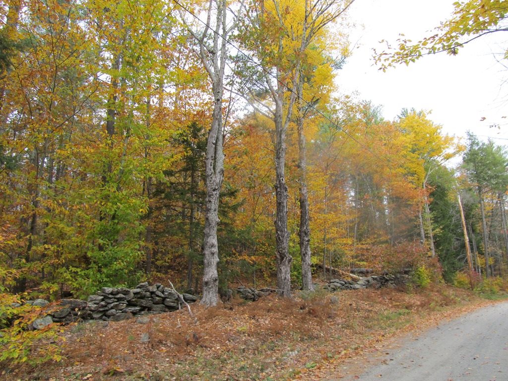 439 Dodge Hollow Road Lempster, NH 03605 - Photo 2 of 8