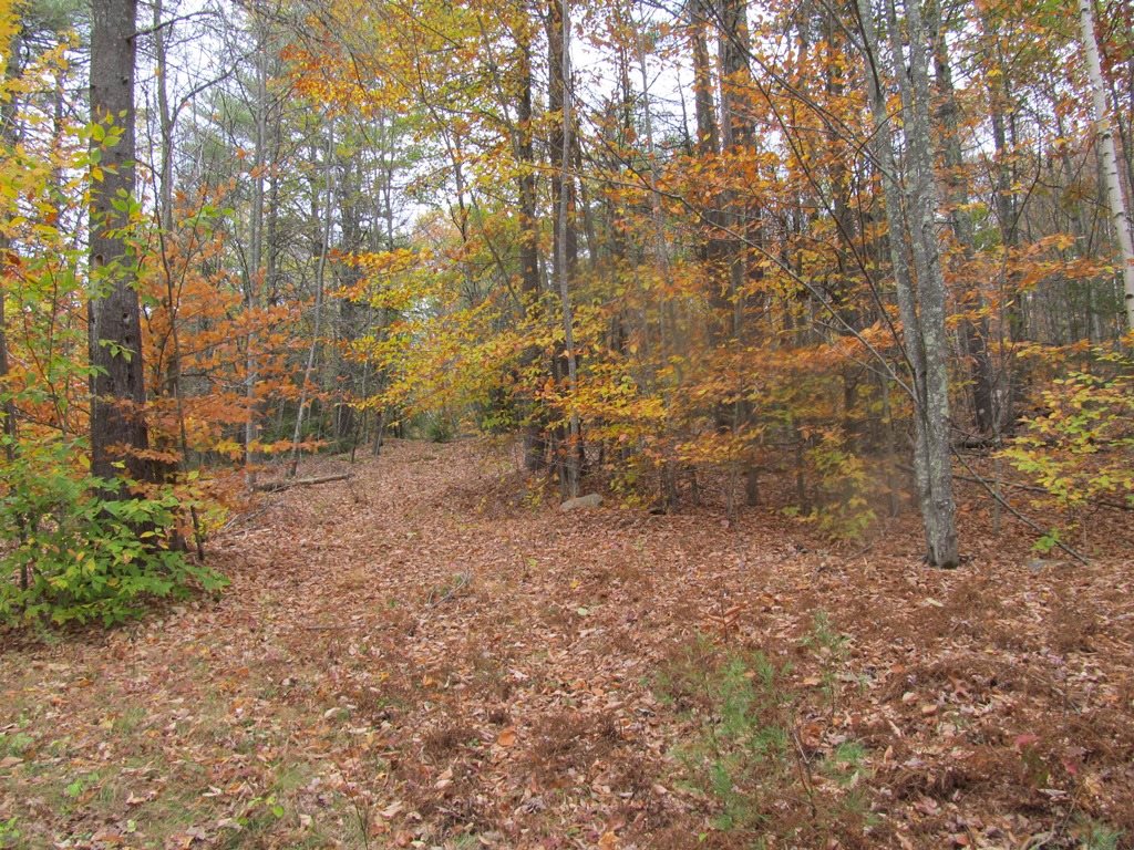 439 Dodge Hollow Road Lempster, NH 03605 - Photo 3 of 8