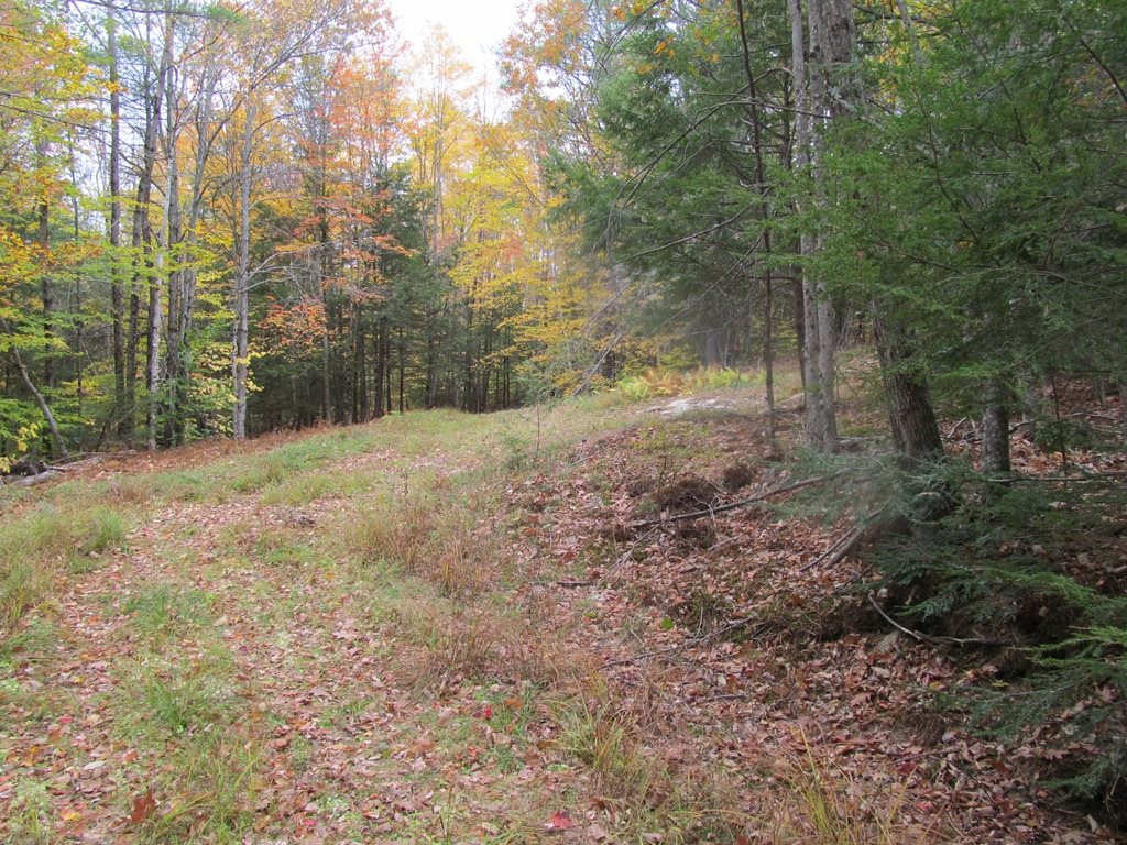 439 Dodge Hollow Road Lempster, NH 03605 - Photo 4 of 8