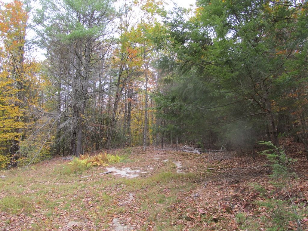 439 Dodge Hollow Road Lempster, NH 03605 - Photo 5 of 8