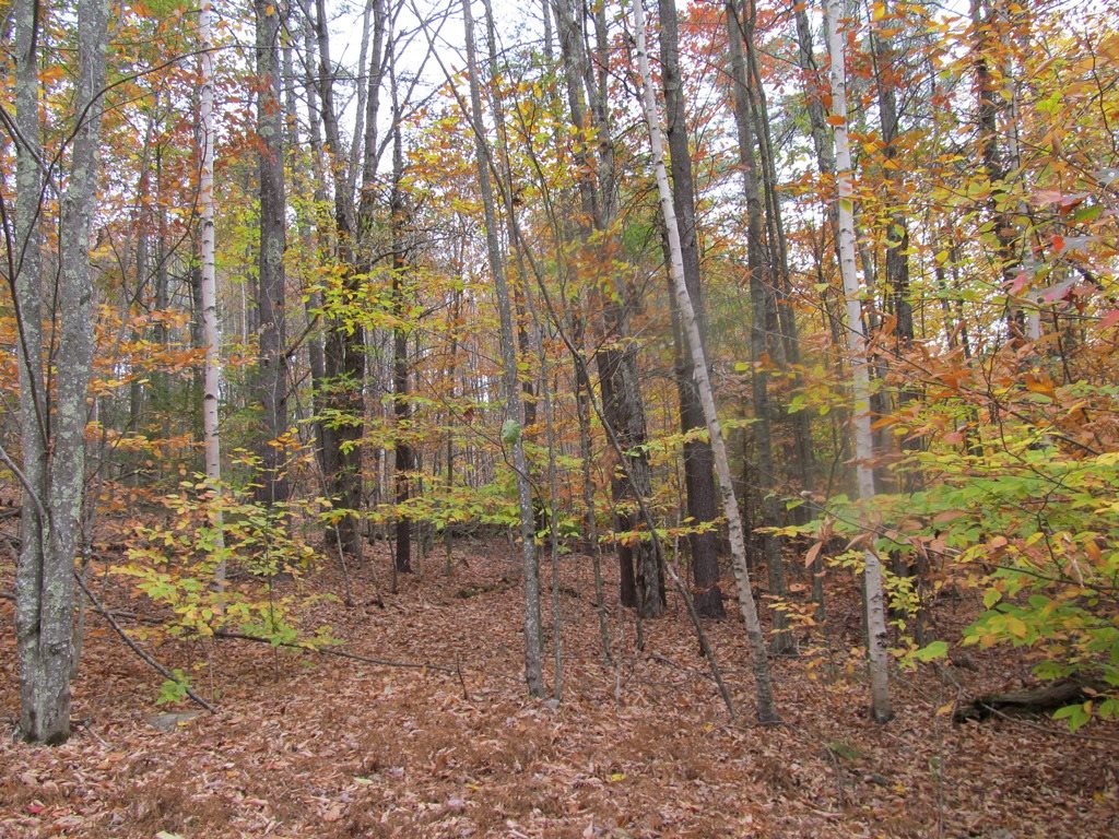 439 Dodge Hollow Road Lempster, NH 03605 - Photo 7 of 8
