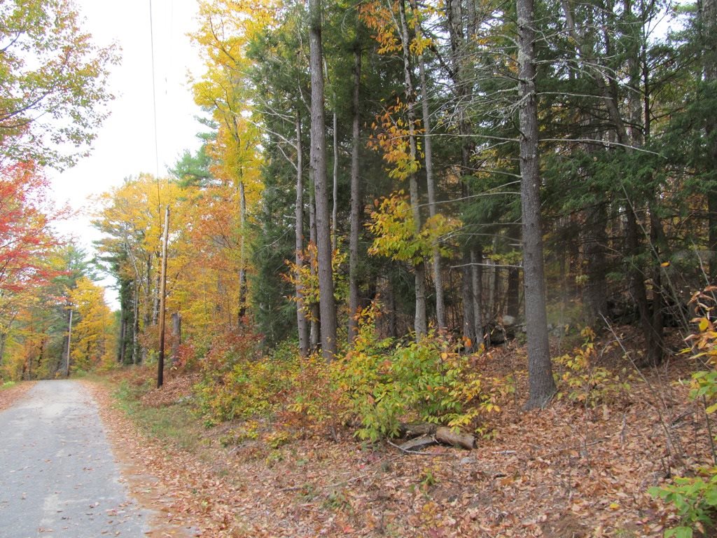 439 Dodge Hollow Road Lempster, NH 03605 - Photo 8 of 8