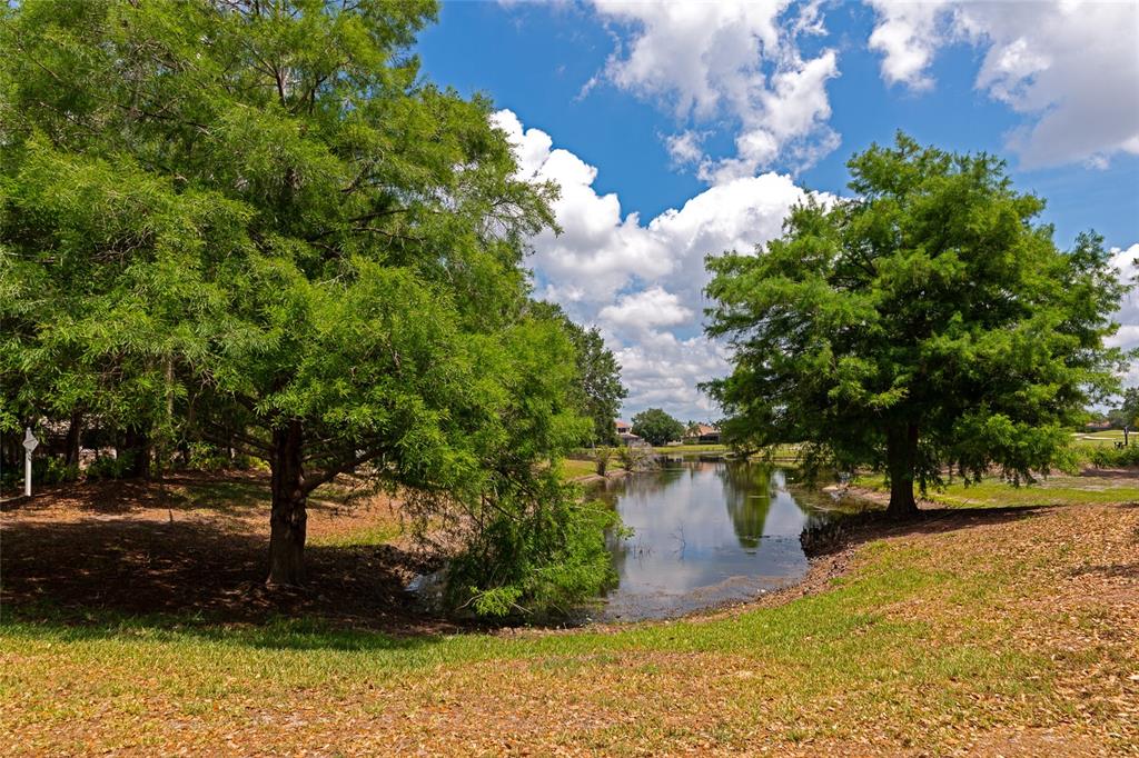 13804 Siena Loop Lakewood Ranch, FL 34202 - Photo 62 of 97 Gallery Image 62