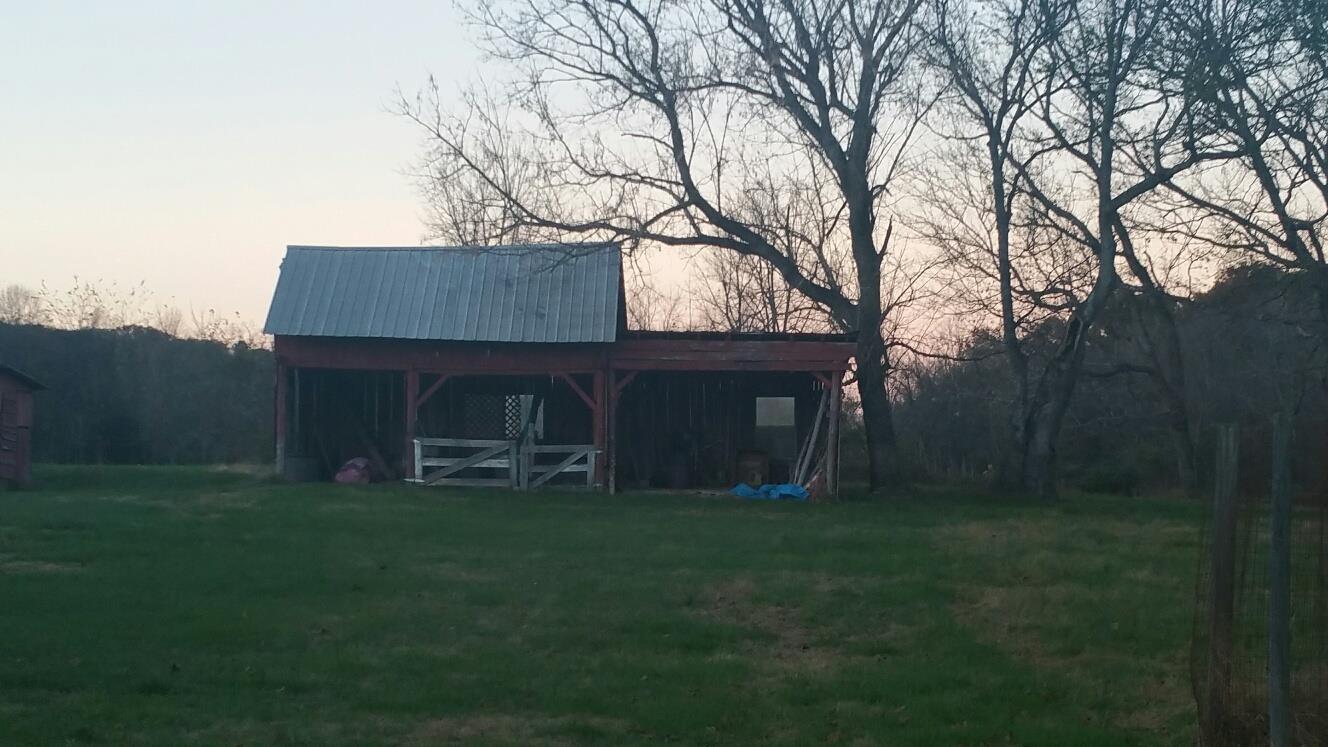 1762 Terrapin Branch Road Mount Pleasant, TN 38474 - Photo 8 of 12 Gallery Image 8