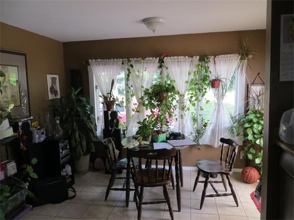 119 Fiberloid Street Springfield, MA 01151 - Photo 3 of 9