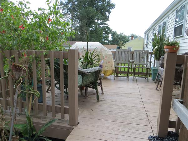 119 Fiberloid Street Springfield, MA 01151 - Photo 8 of 9