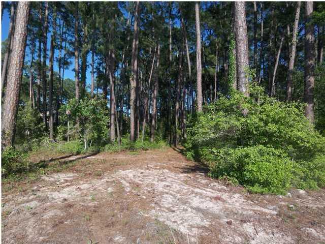 Lot 4 Driftwood Point Road Santa Rosa Beach, FL 32459 - Photo 3 of 6 a view of a yard with plants and trees