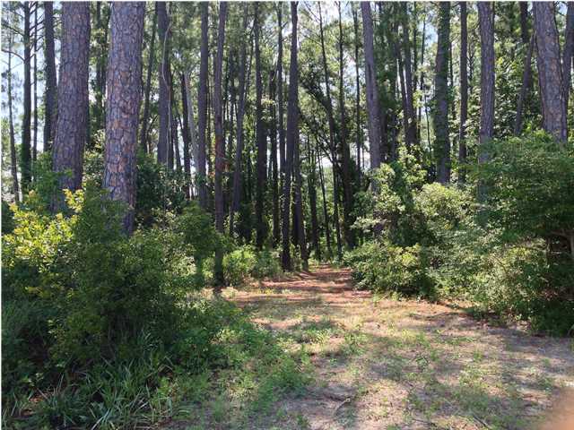 Lot 4 Driftwood Point Road Santa Rosa Beach, FL 32459 - Photo 6 of 6 a view of outdoor space and green space