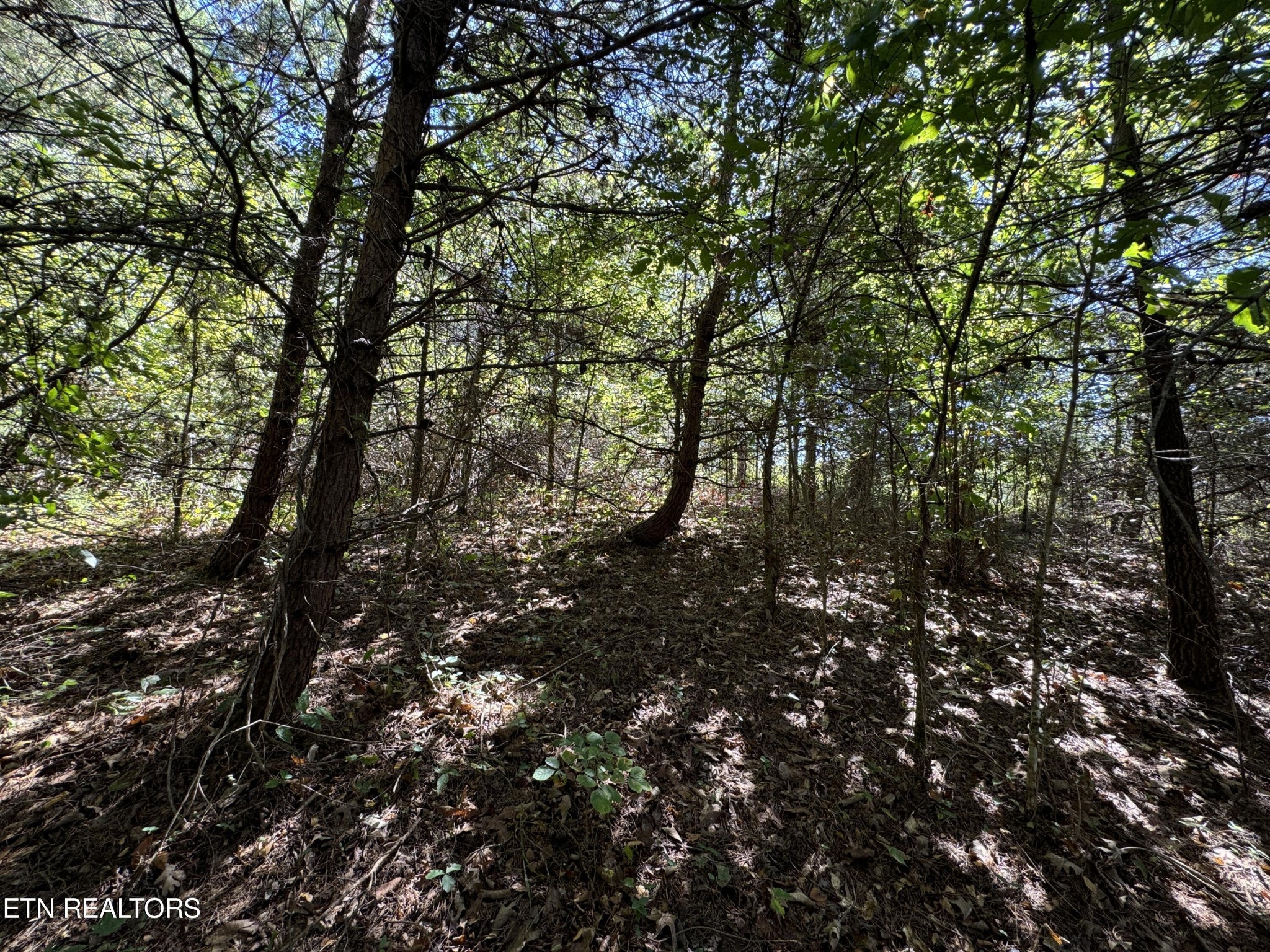 9 McGaha Chapel Road Newport, TN 37821 - Photo 6 of 13 Gallery Image 6