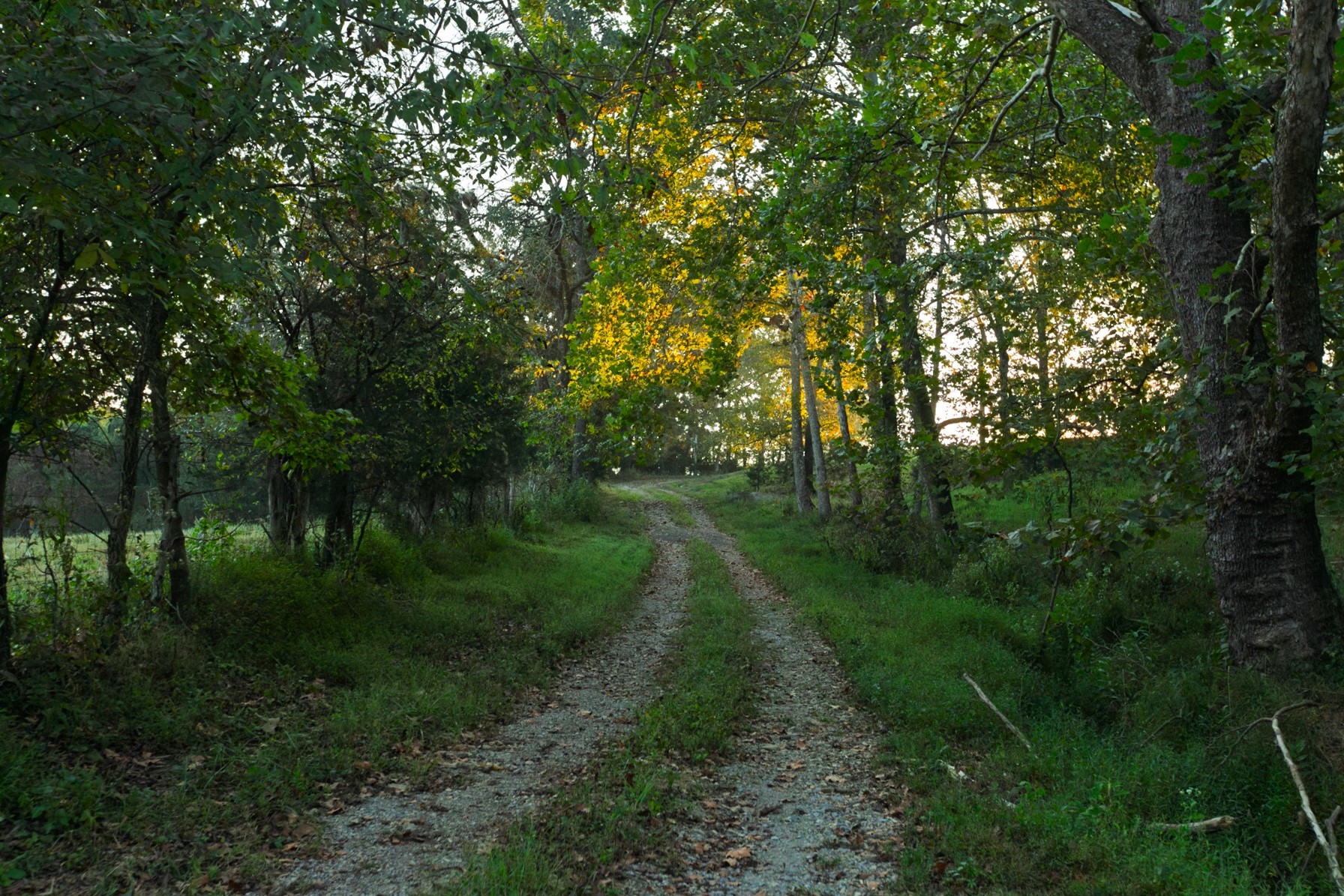 110 Wade Reed Road White Bluff, TN 37187 - Photo 75 of 94 Gallery Image 75
