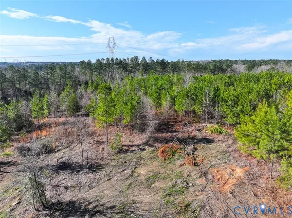 a view of a yard with plants and trees