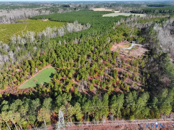 a view of a city with lush green forest