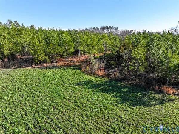 a backyard of a house with lots of green space and trees all around