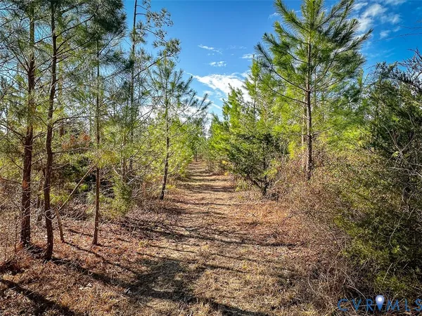 $150,000 | 12.66 Acres (off Of) Waqua Creek Road, Rawlings, VA 23876
