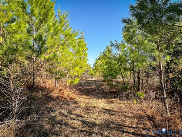 $150,000 | 12.66 Acres (off Of) Waqua Creek Road, Rawlings, VA 23876