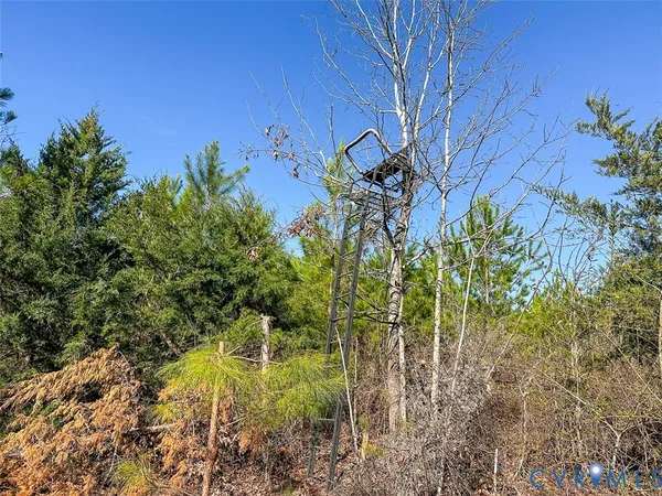 $150,000 | 12.66 Acres (off Of) Waqua Creek Road, Rawlings, VA 23876