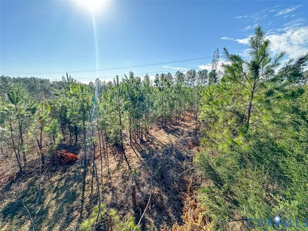 $150,000 | 12.66 Acres (off Of) Waqua Creek Road, Rawlings, VA 23876