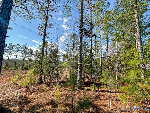 $150,000 | 12.66 Acres (off Of) Waqua Creek Road, Rawlings, VA 23876