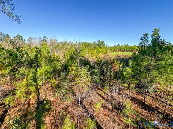 $150,000 | 12.66 Acres (off Of) Waqua Creek Road, Rawlings, VA 23876