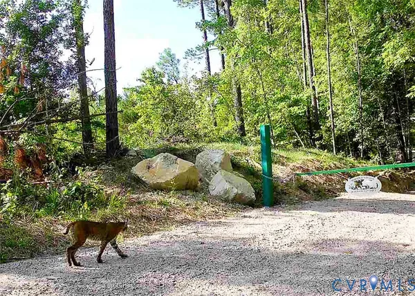 $150,000 | 12.66 Acres (off Of) Waqua Creek Road, Rawlings, VA 23876