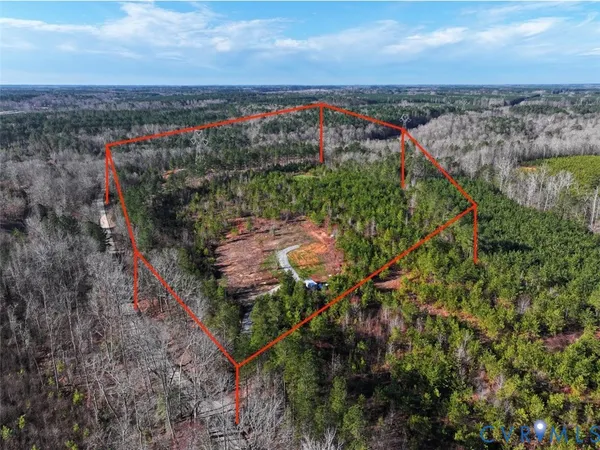 a view of a yard with plants and trees