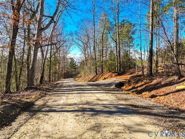 a view of a city with lush green forest