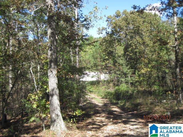250 Deer Run Road Munford, AL 36268 - Photo 3 of 4