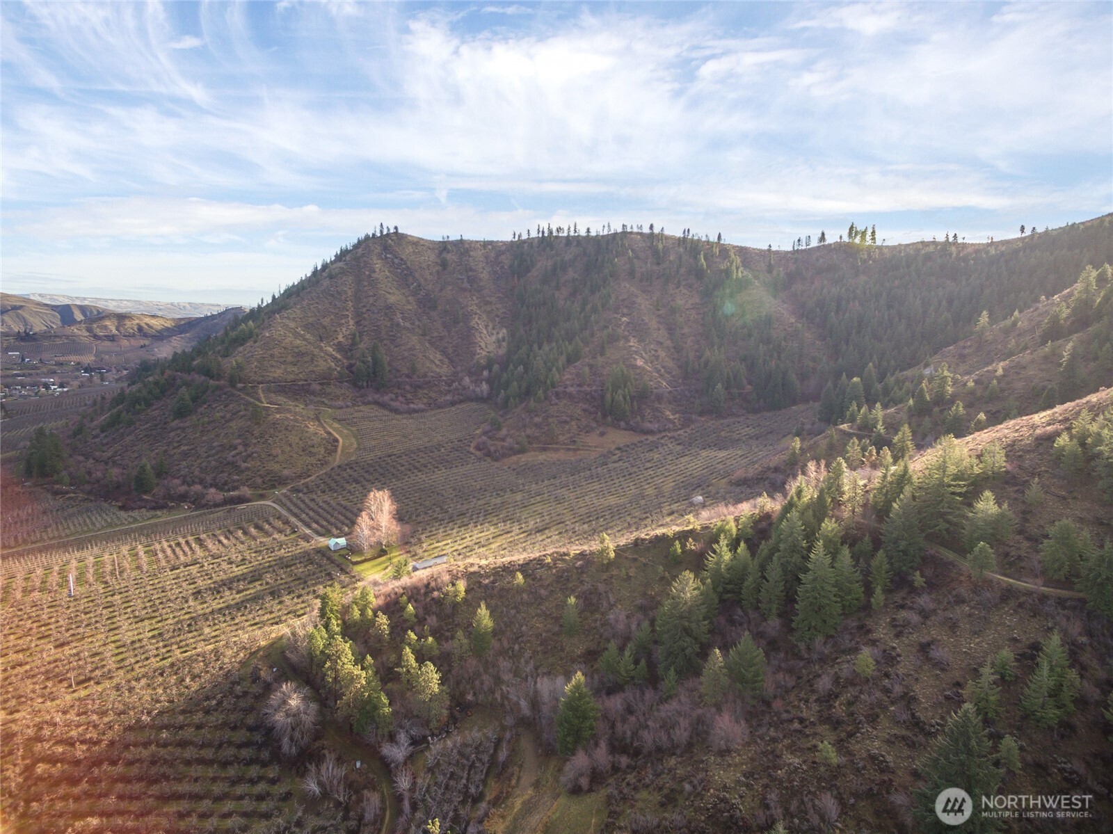 0 Tigner Road Cashmere, WA 98815 - Photo 19 of 21 a view of a yard