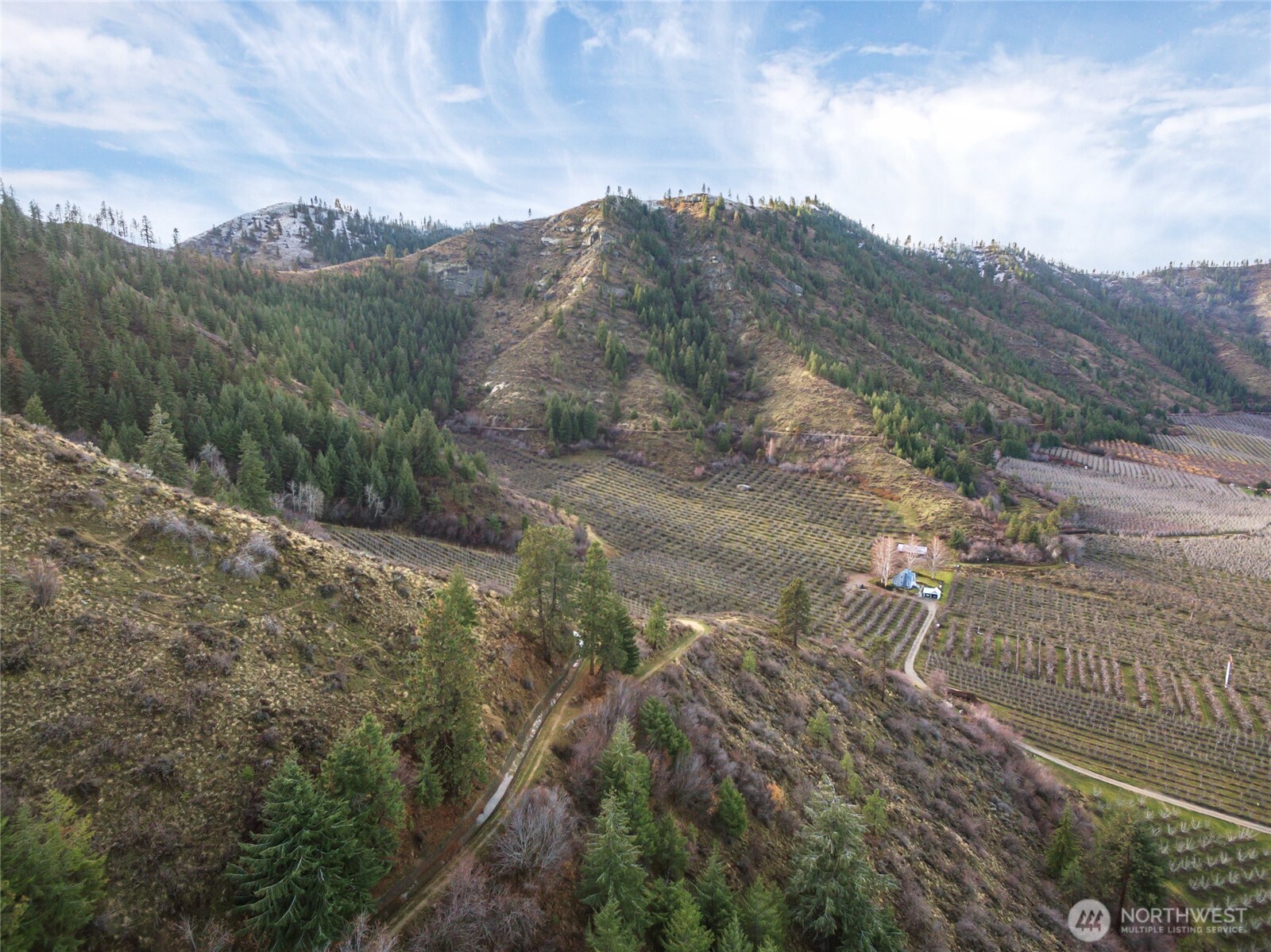 0 Tigner Road Cashmere, WA 98815 - Photo 5 of 21 a view of a dry yard with mountains in the background