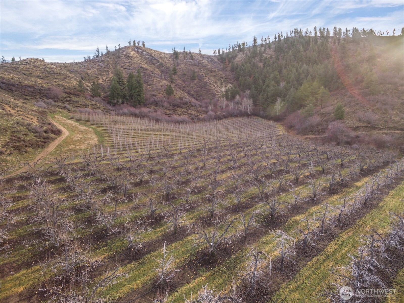 0 Tigner Road Cashmere, WA 98815 - Photo 8 of 21 a view of a dry yard with mountains in the background