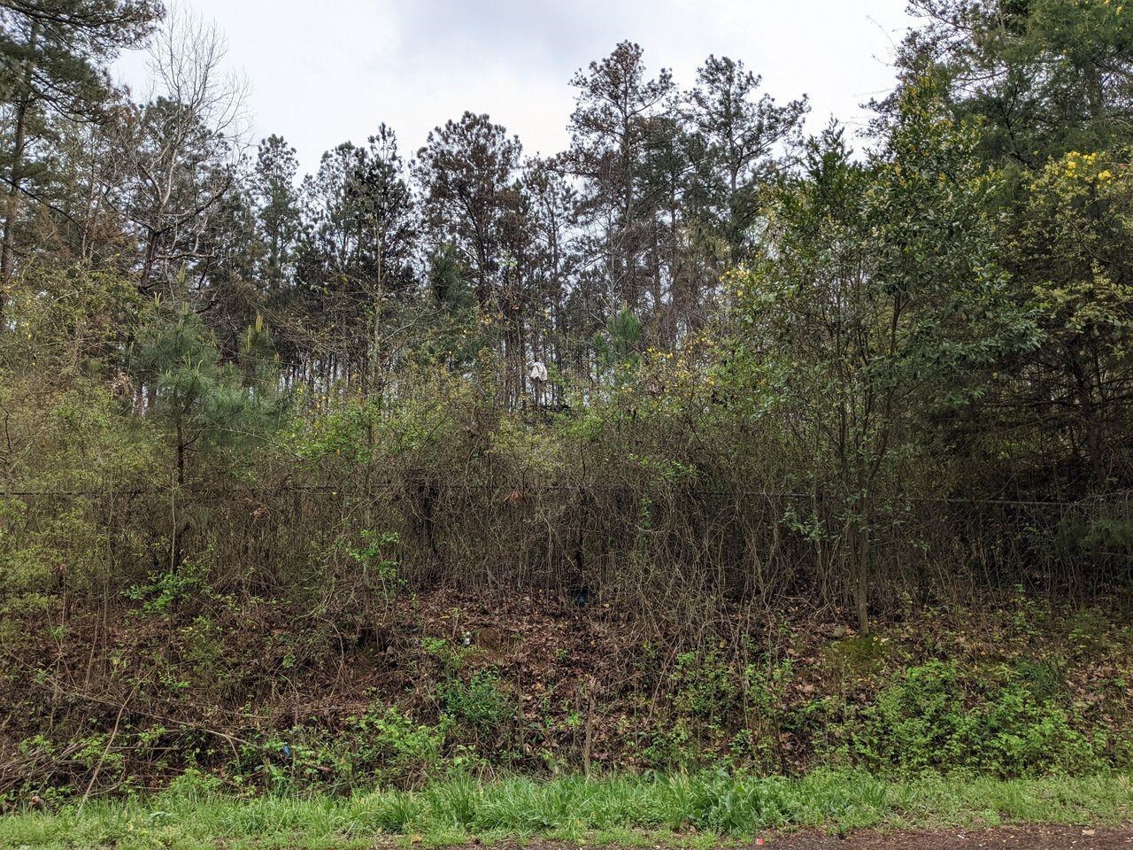 236 Pine Hill Road LaGrange, GA 30241 - Photo 1 of 1 Gallery Image 1
