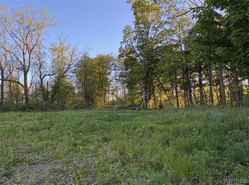 1441 Sturgeon Point Road Evans, NY 14047 - Photo 4 of 4