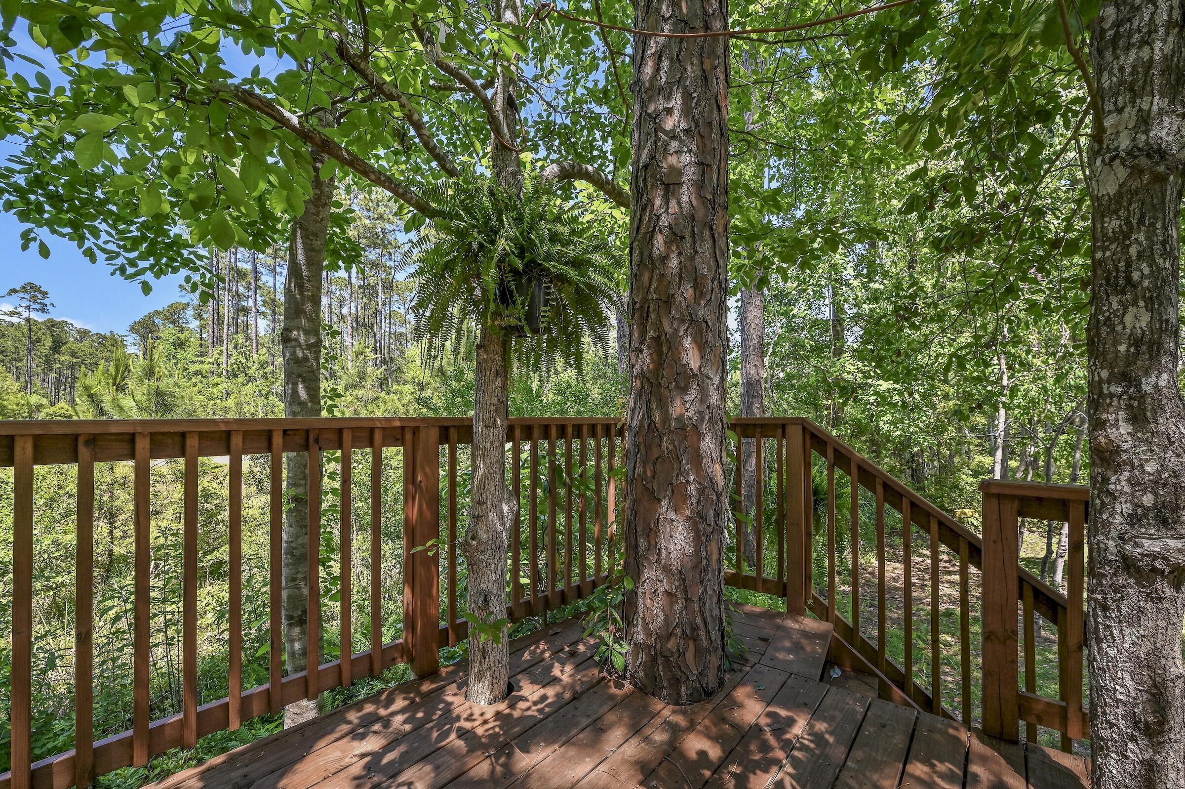 154 Sweetwater Road Freeport, FL 32439 - Photo 10 of 31 web_154 Sweetwater Freeport _32