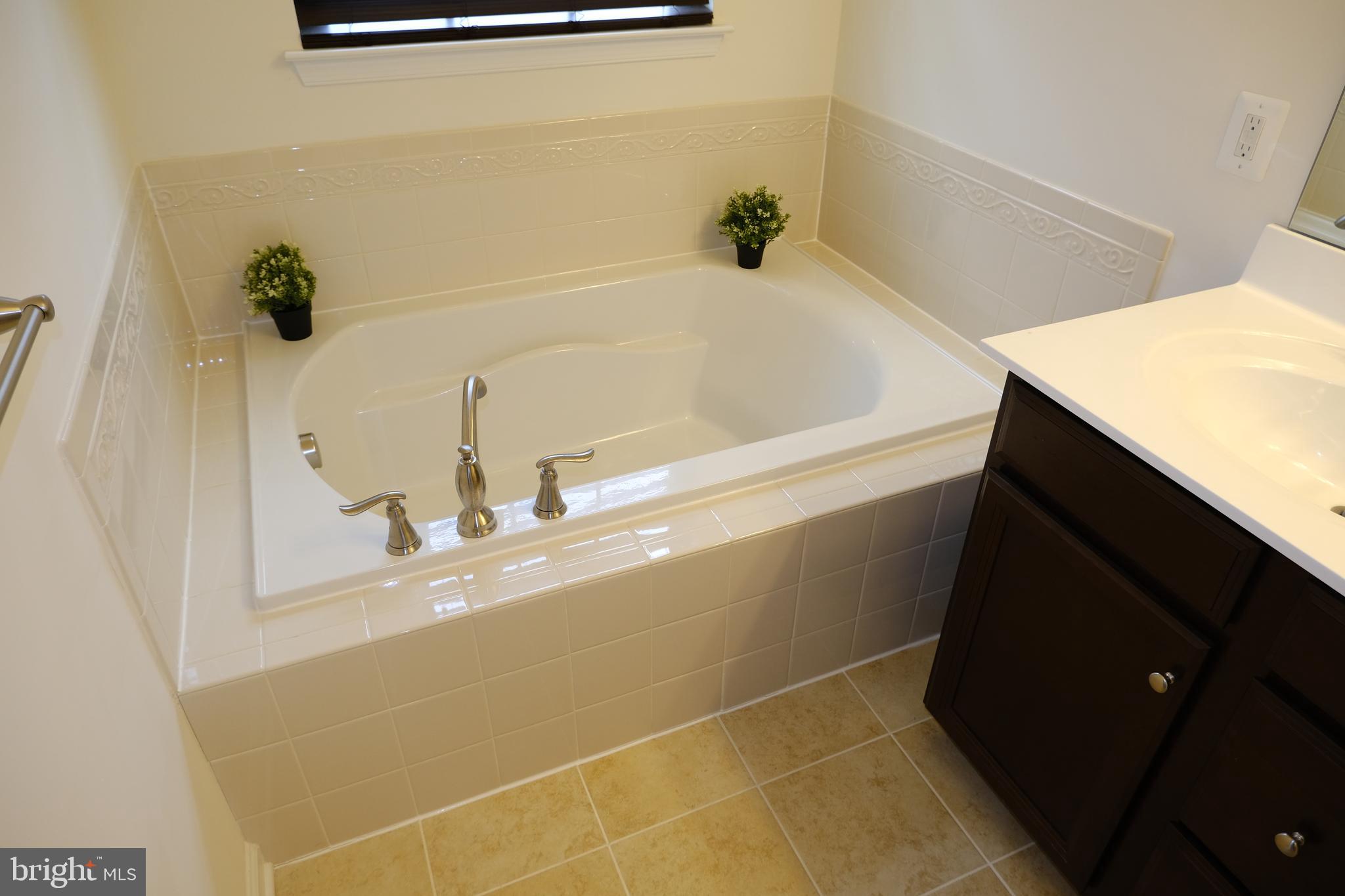 6254 Ritter Drive Frederick, MD 21703 - Photo 17 of 41 Deep soaking tub for an instant vacation
