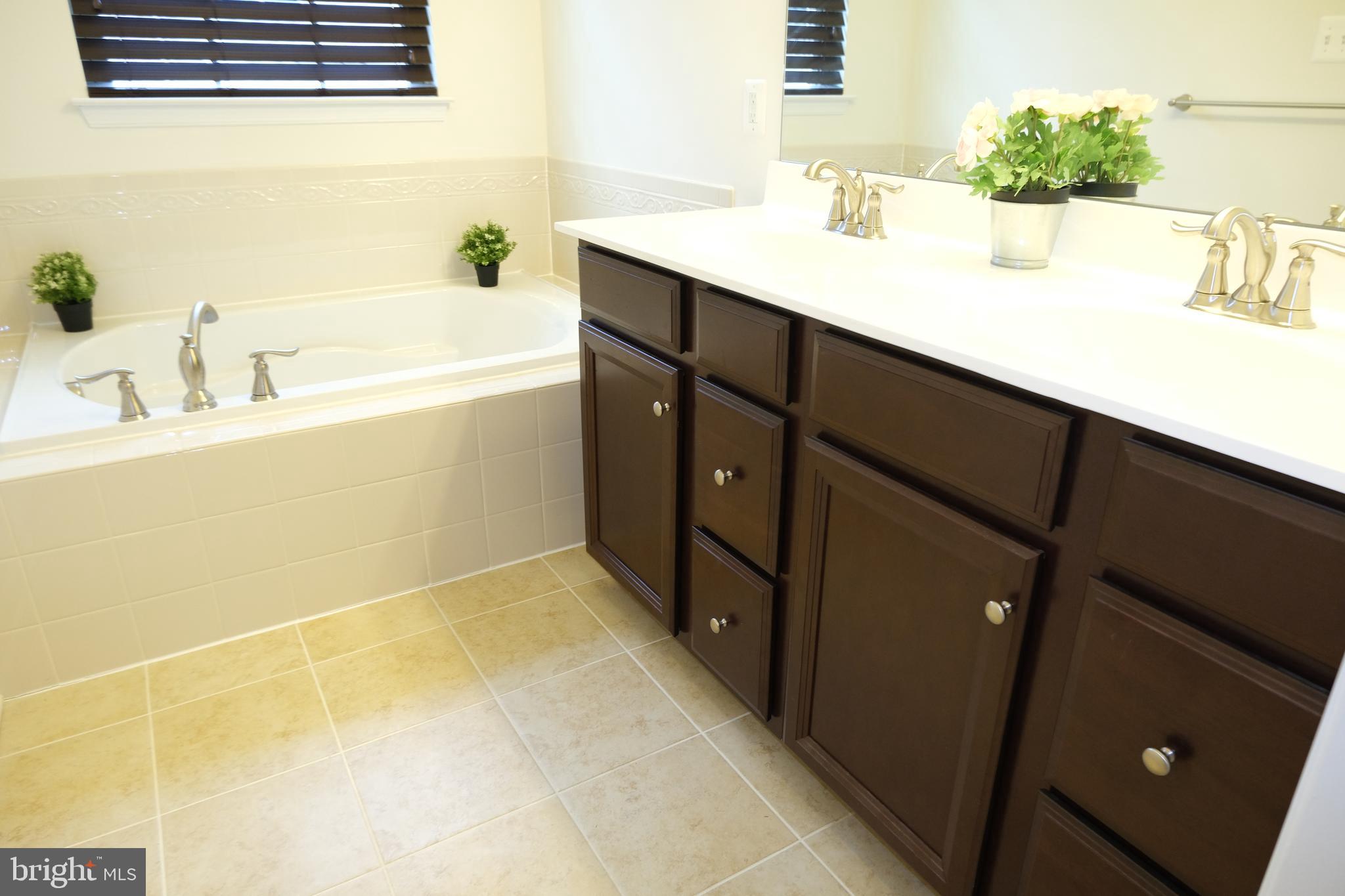 6254 Ritter Drive Frederick, MD 21703 - Photo 18 of 41 Double sink - beautiful vanity w/ lots of storage