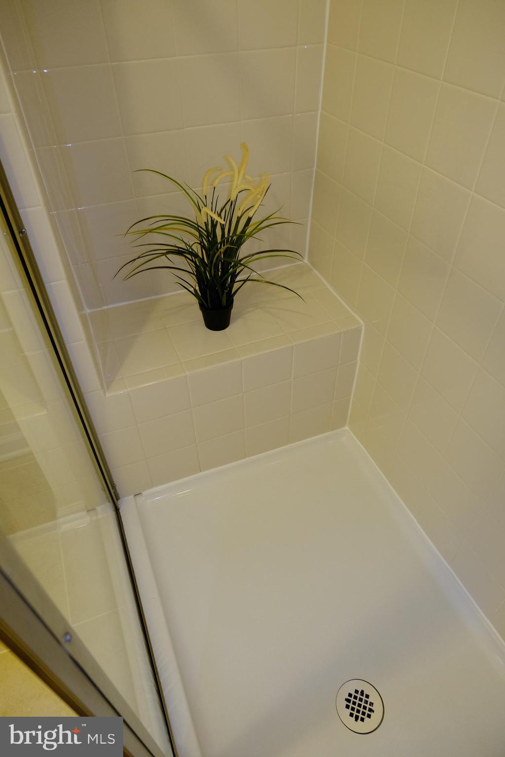 6254 Ritter Drive Frederick, MD 21703 - Photo 19 of 41 Walk-in shower with convenient seat