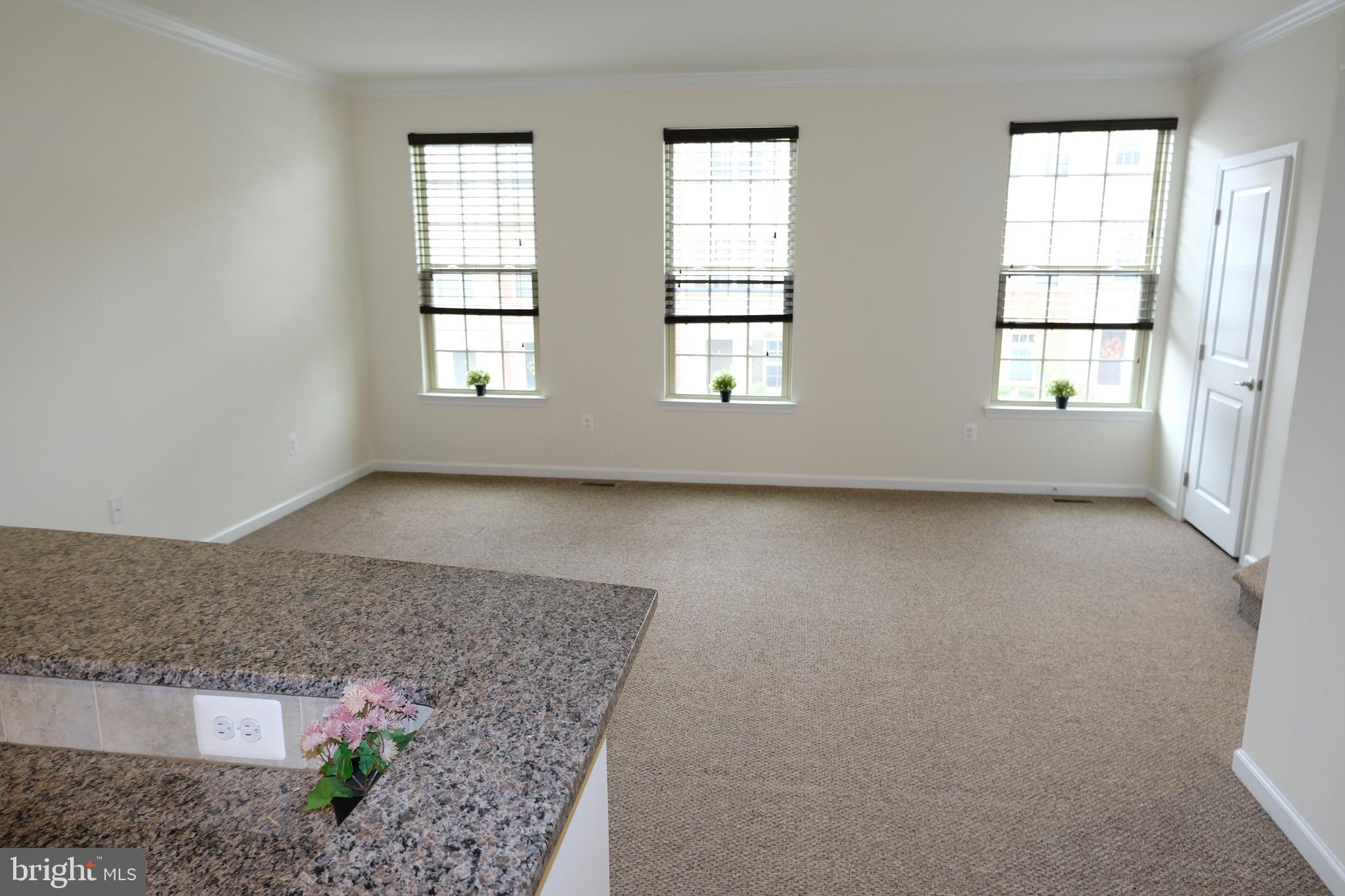 6254 Ritter Drive Frederick, MD 21703 - Photo 3 of 41 Main floor is one flight up - welcoming open area