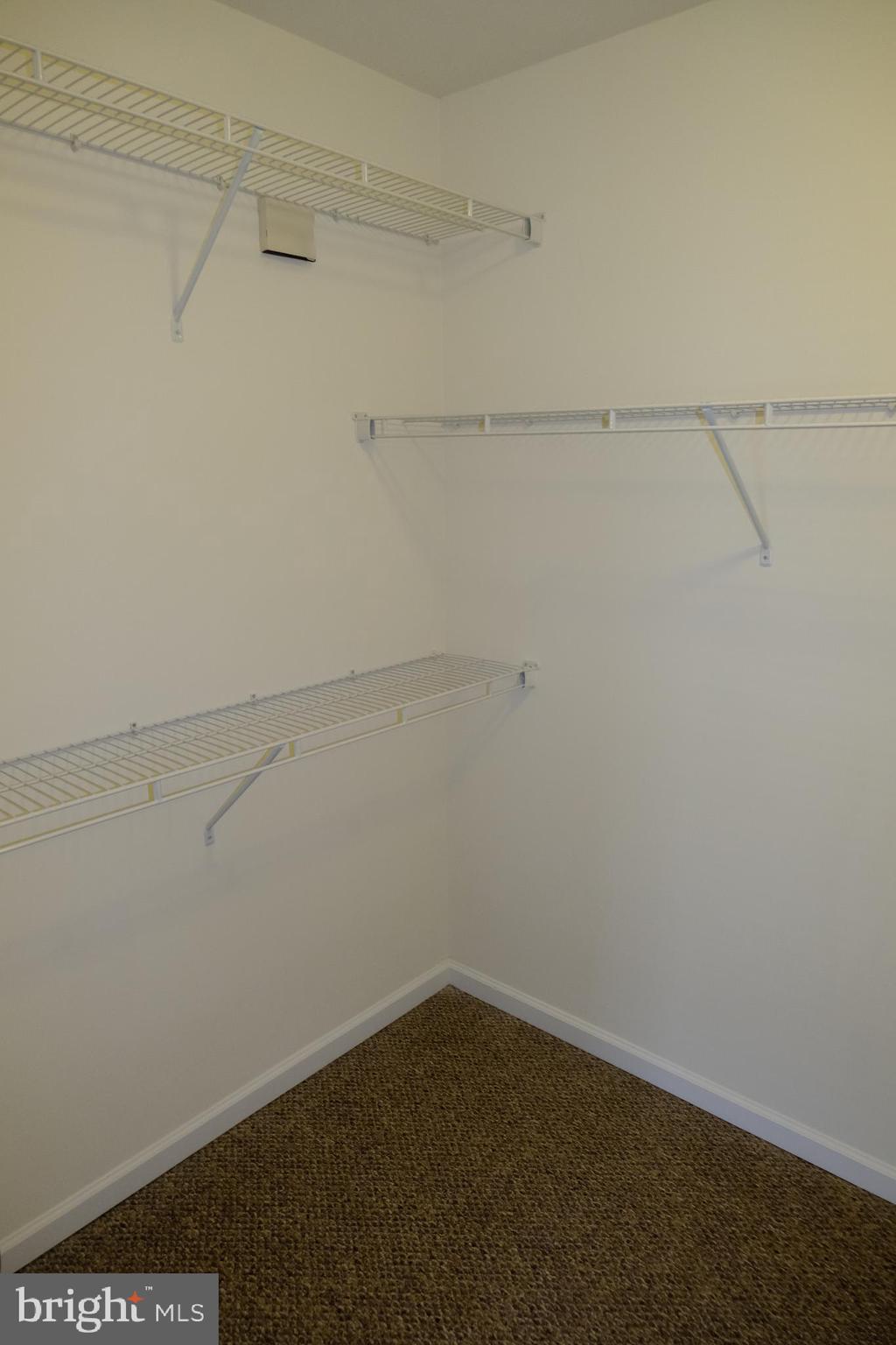 6254 Ritter Drive Frederick, MD 21703 - Photo 21 of 41 Large walk-in closet with a variety of shelves