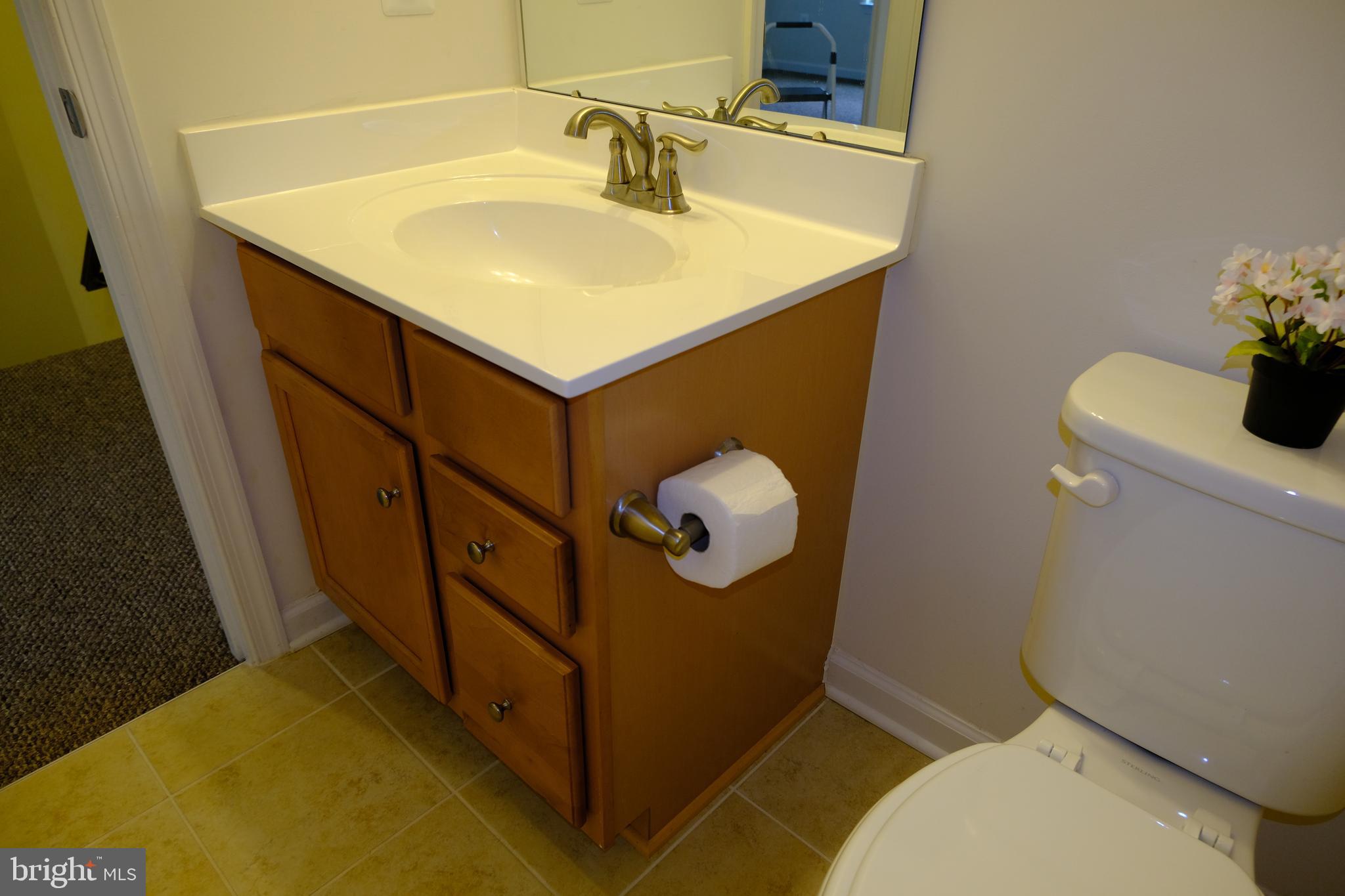 6254 Ritter Drive Frederick, MD 21703 - Photo 27 of 41 Hall bathroom