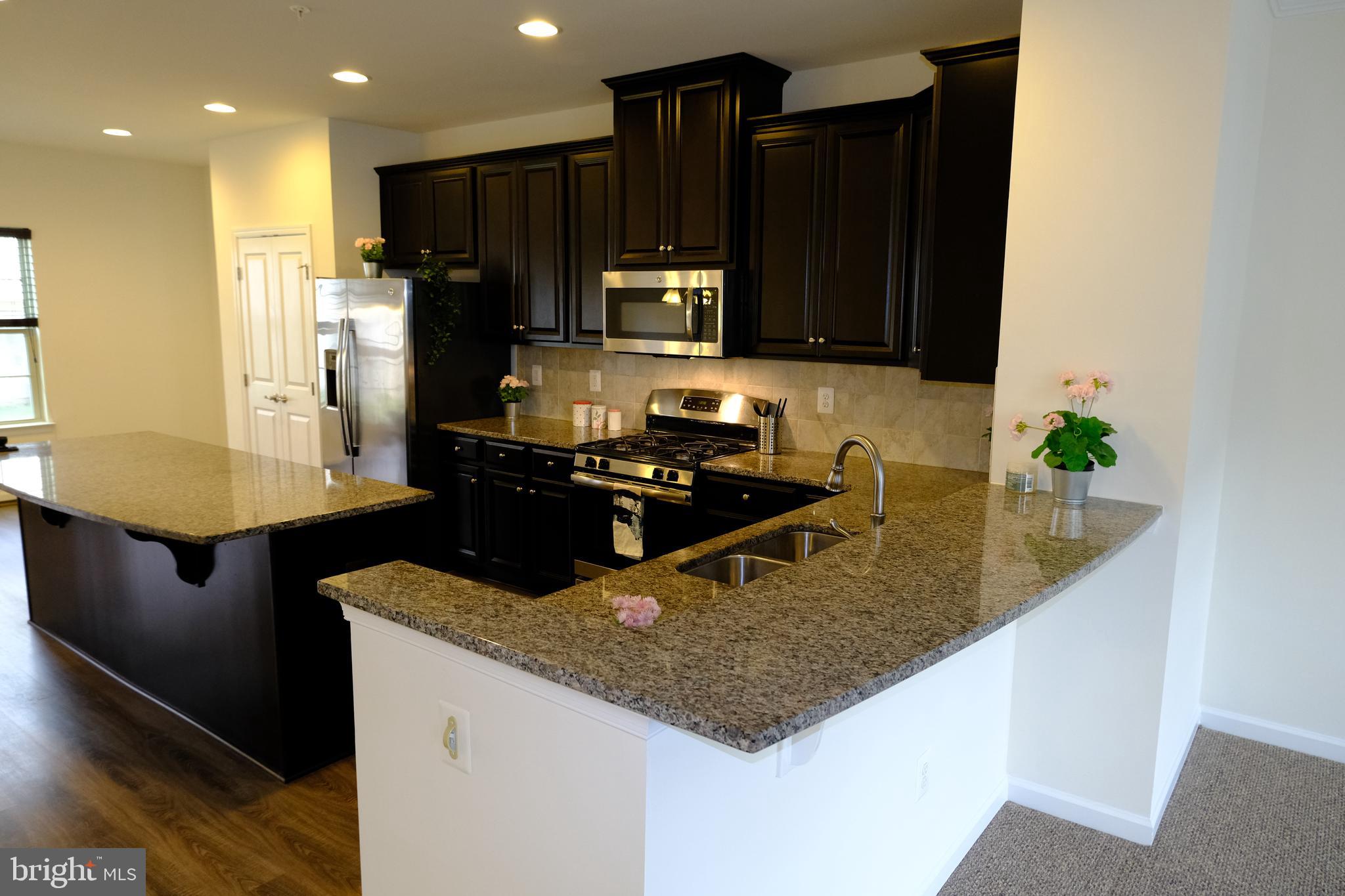 6254 Ritter Drive Frederick, MD 21703 - Photo 8 of 41 Gorgeous granite, stainless appliances, countertop