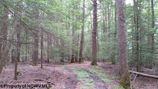 3991 Holly Meadows Road Parsons, WV 26287 - Photo 16 of 19 Gallery Image 16