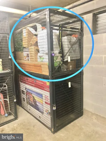 $2,425 | 3830 9th Street North, Unit 105, Arlington, VA 22203